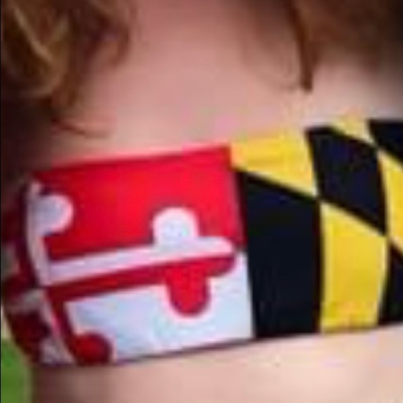 Maryland flag bandeau - Picture 1 of 4